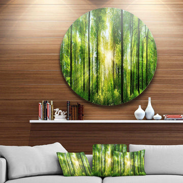 Forest with Rays of Sun Panorama - Landscape Oversized Circle Metal Wall Art